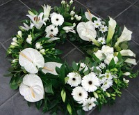 Petalis Florists Sheffield 329085 Image 5