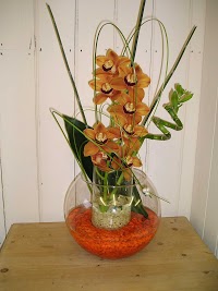 Pick a Lily Florists 334712 Image 9