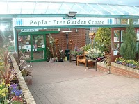 Poplar Tree Garden Centre and Florists Durham 330173 Image 8