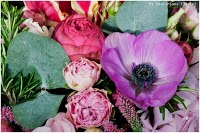 Rawlinsons Florist, Torquay 331987 Image 7