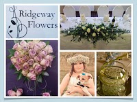 Ridgeway Flowers 334789 Image 3