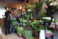Roots Fruits and Flowers Florist 329241 Image 1