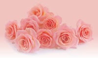 Rosies Florist 333853 Image 1