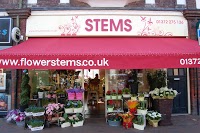 Stems Floral Design Ltd 327303 Image 9