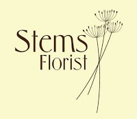 Stems Florist 331093 Image 9