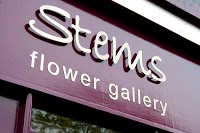 Stems Flower Gallery 334627 Image 4