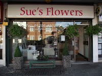 Sues Flowers 333213 Image 1