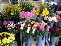 The Flower Shop 328161 Image 0