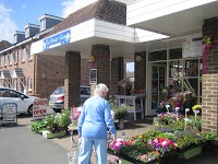 The Flower Shop 330128 Image 0