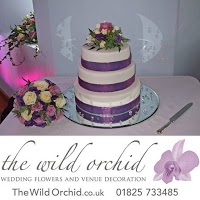 The Wild Orchid 332299 Image 1