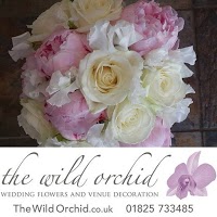 The Wild Orchid 332299 Image 2