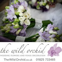 The Wild Orchid 332299 Image 3