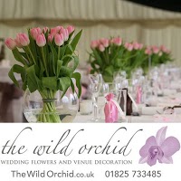 The Wild Orchid 332299 Image 4