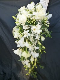 Tracy Qs Cornwall Wedding Flowers 327507 Image 0