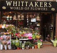 Whittakers World Of Flowers 332339 Image 0