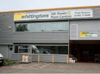 Whittingtons 335358 Image 1