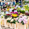 Pick A Lily Flowers / Florist avatar