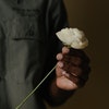 Rafflesia Wedding Flowers avatar