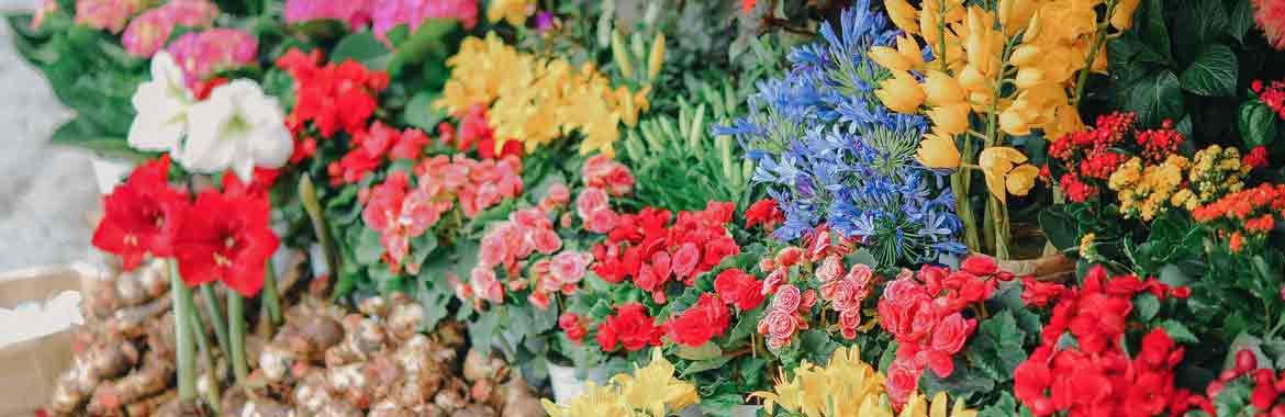 The Flower Shop banner